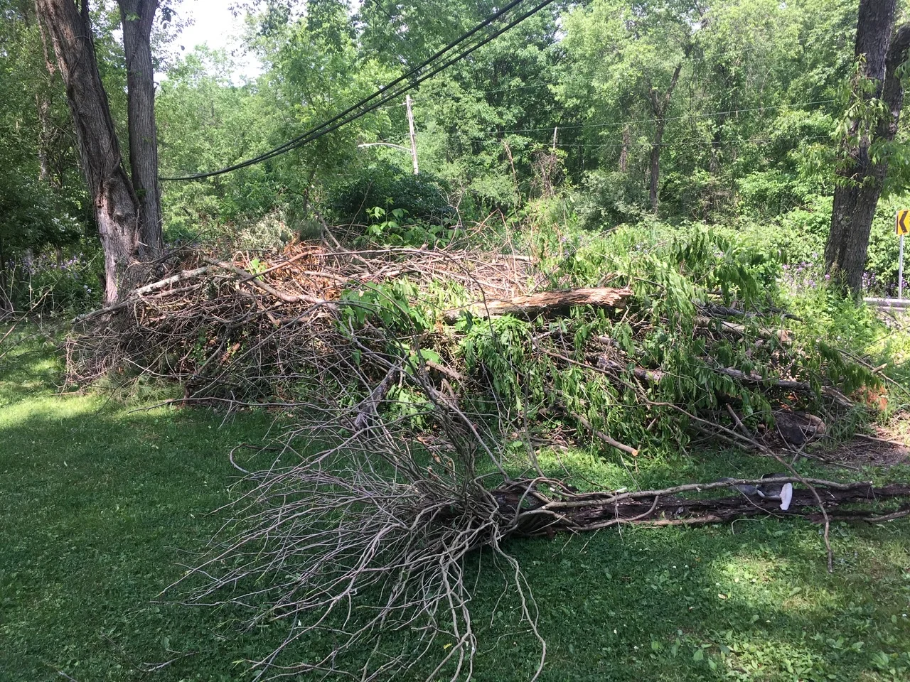 Yard waste and debris pile needing removal